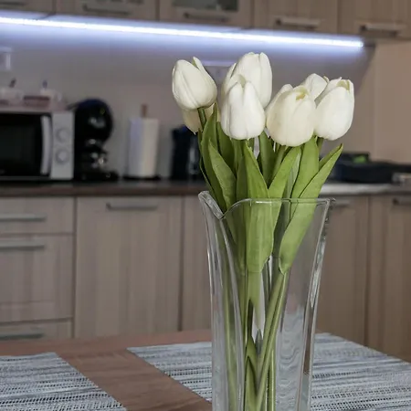 Varfal Apartment